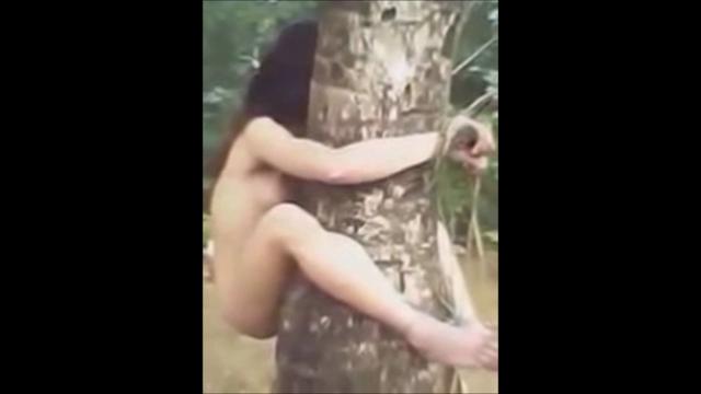 Fight Stripped fucked - Xrares