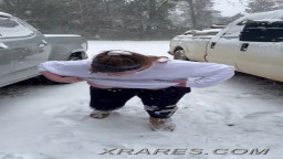 Tits on snow