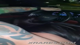 a brunette slut sucks the driver's cock