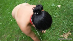 Good Pet in Public