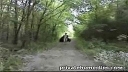 Vintage - Compilation