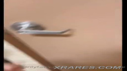 fast food employee